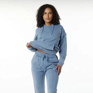 ☄️ Alphalete | Very Terry Hoodie in Celestial Blue